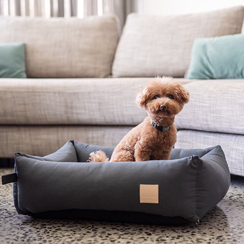 プレミアムコットンベッド(スレートグレー)