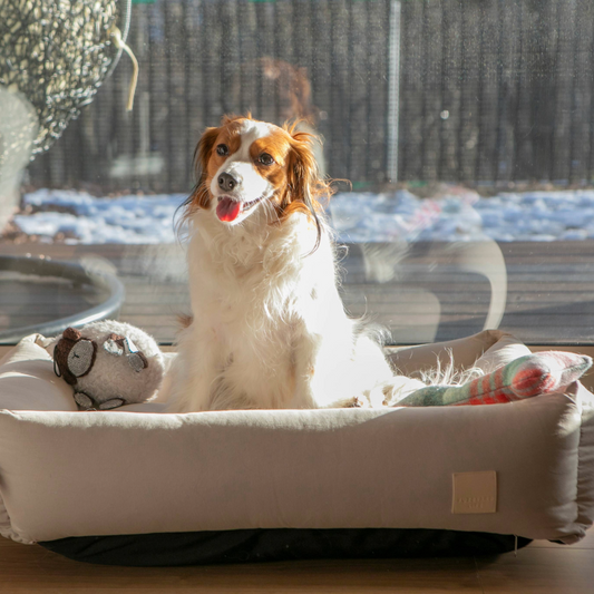 プレミアムコットンベッド(サンドストーン)