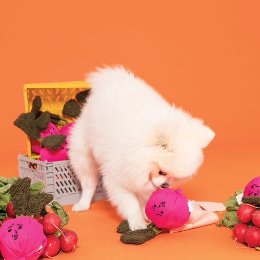 ラディッシュのノーズワークトイ