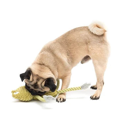 カエルのフレデリック