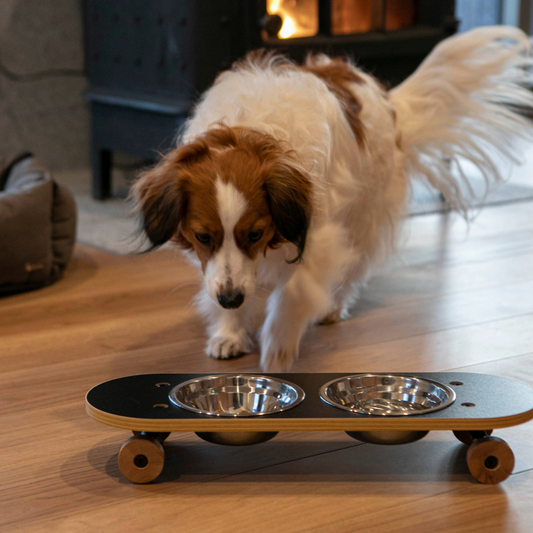 スケートプレート