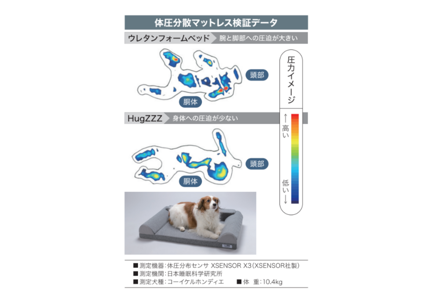 HugZZZ-ハグズ-