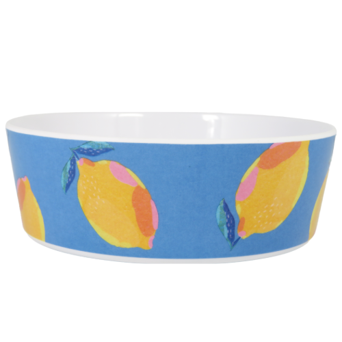 ABODE フルッタボウル（レモンブルー）