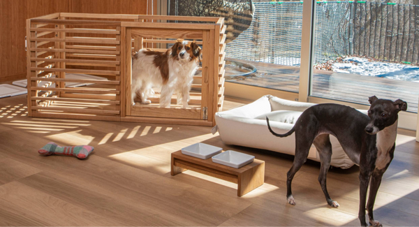 落ち着きのある空間