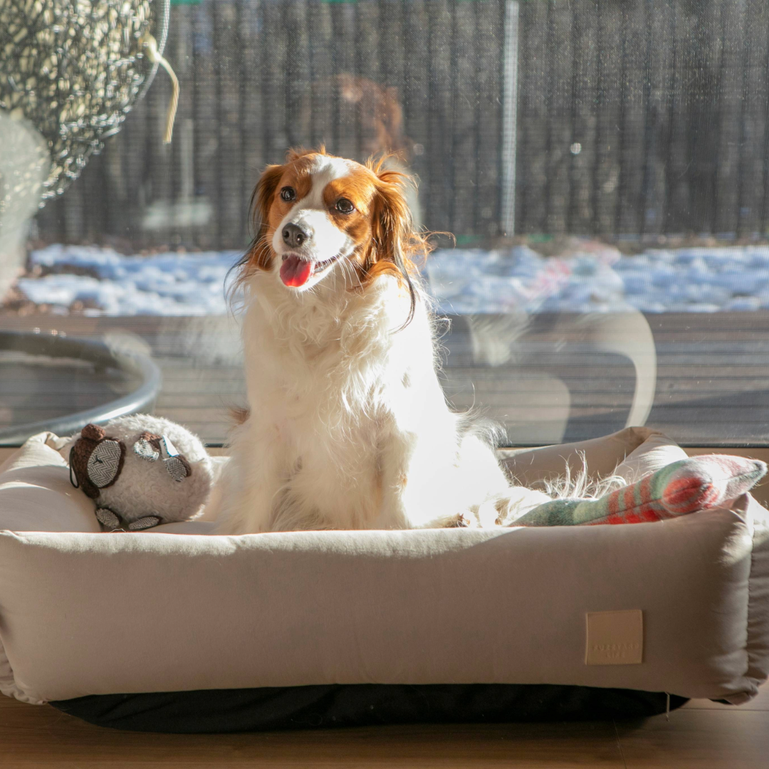 プレミアムコットンベッド（サンドストーン）