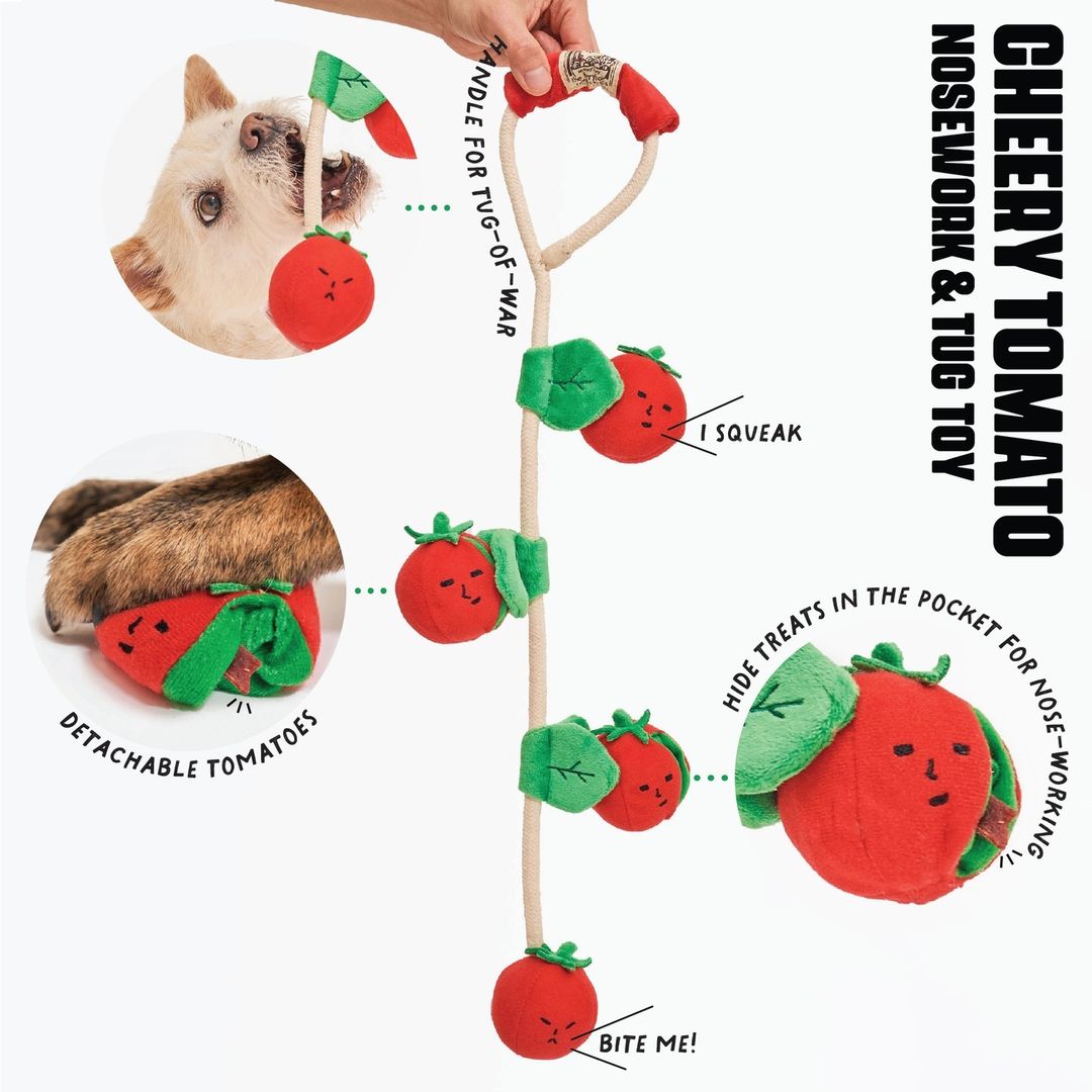 ミニトマトのノーズワークトイ