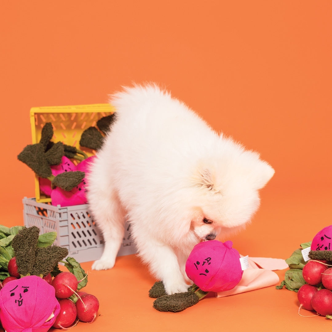 ラディッシュのノーズワークトイ