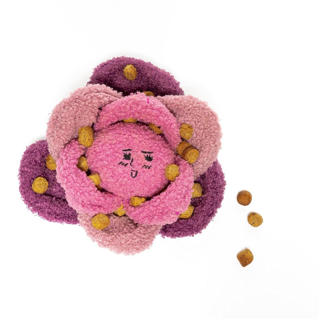 赤キャベツのノーズワークトイ