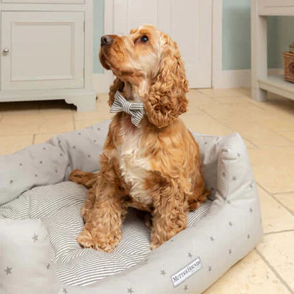 ストライプ蝶ネクタイ