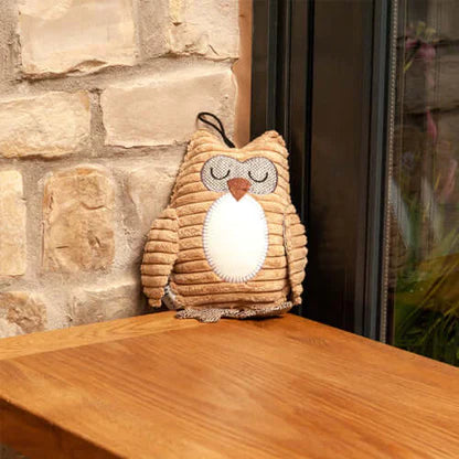 フクロウのオリー