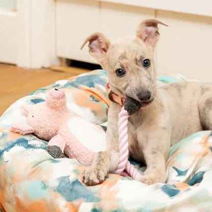 こぶたのポリー