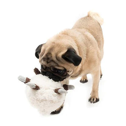 ヒツジのシェルビー