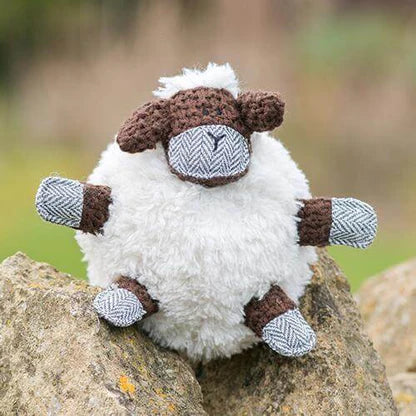 ヒツジのシェルビー