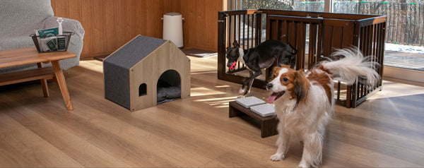 koremone & koremone DIRECT