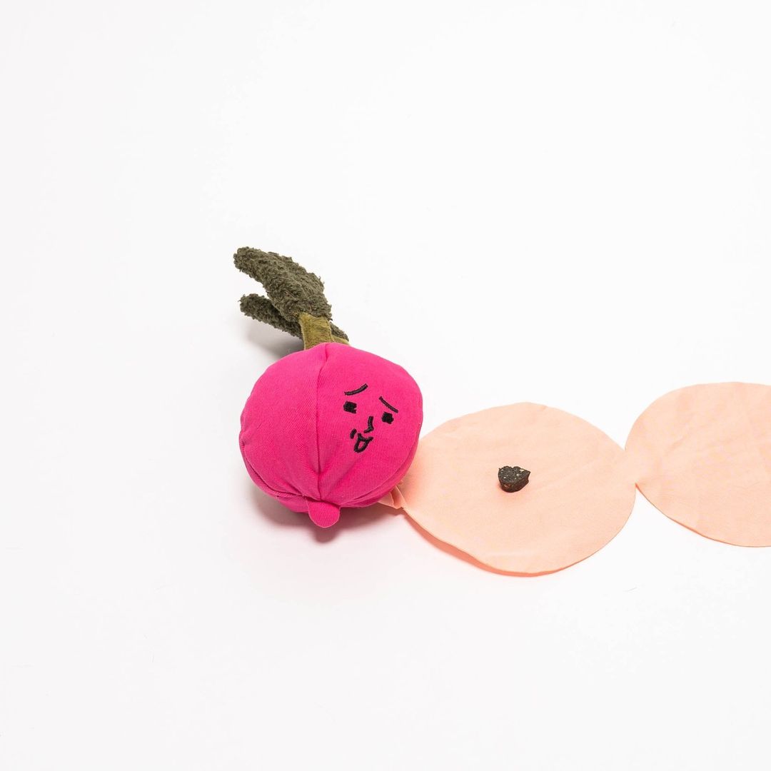 ラディッシュのノーズワークトイ